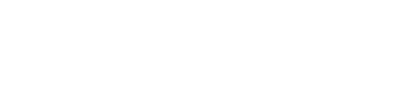Smartfact Pro